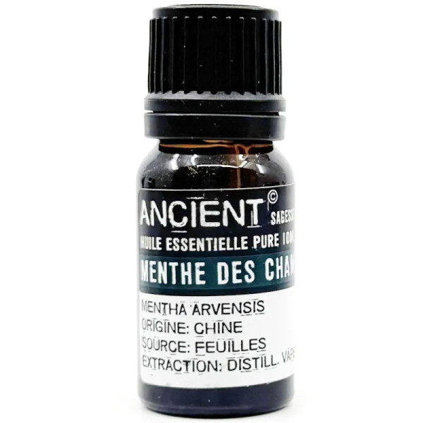 Grossiste en Huile Essentielle de Menthe des Champs 10 ml pour