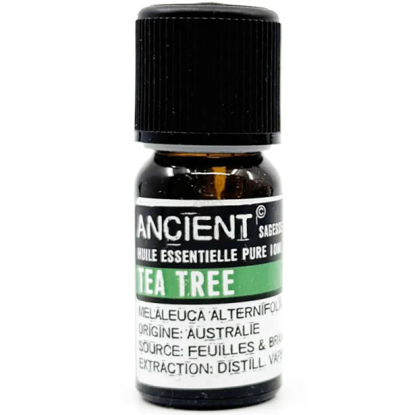 Grossiste en Huile Essentielle Tea Tree (Arbre à Thé) 10 ml