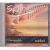 Grossiste en CD Ambiance et Relaxation Spirit of the Panpipes
